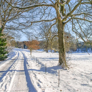 Grey Abbey drive in snow