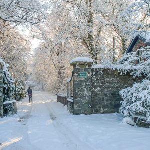 Grey Abbey entrance in snow