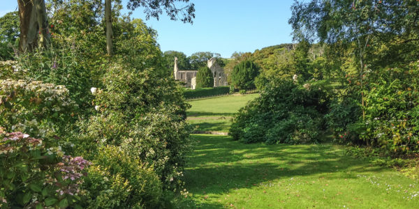 The garden & Abbey ruins