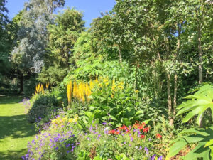 Southern Hemisphere garden