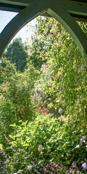 Grey Abbey gazebo view