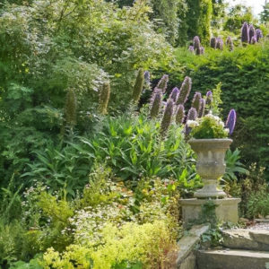 Grey Abbey garden steps