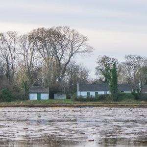 Island Cottage on Strangford Lough